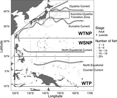 Using geostatistical analysis for simultaneous estimation of isoscapes and ontogenetic shifts in isotope ratios of highly migratory marine fish